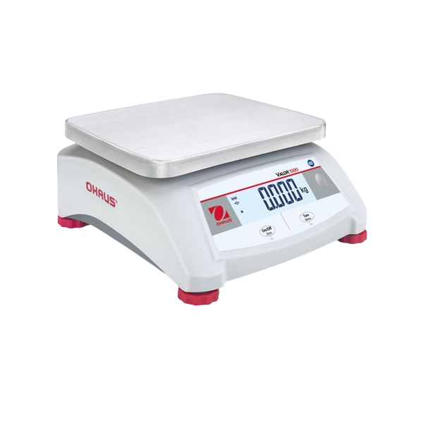 Compact Scale VALOR™ 1000 V12P15